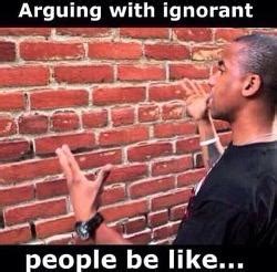 meme talking to wall|arguing with a brick wall.